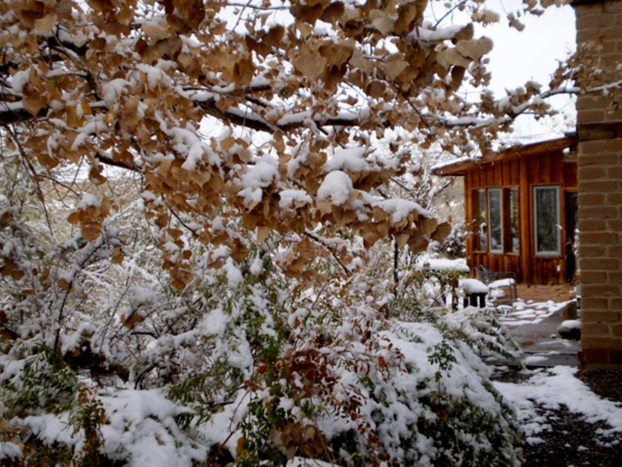 Silver River Adobe Inn Bed And Breakfast Farmington Exterior photo